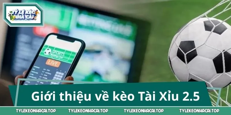 Giới thiệu về kèo Tài Xỉu 2.5