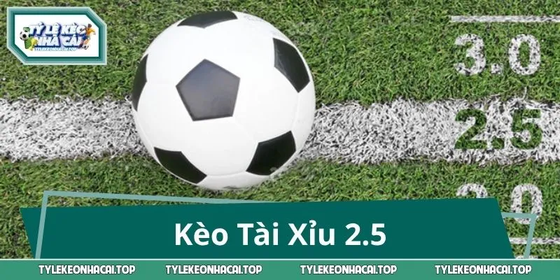 Kèo Tài Xỉu 2.5: Giải Mã Thế Trận, Đọc Kèo Cực Chuẩn