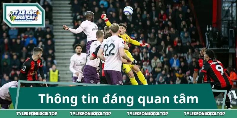 Thông tin đáng quan tâm trước trận Bournemouth - Brentford